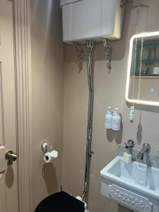 チチェスターにあるPallant Hideawayのトイレと洗面台付きのバスルーム