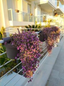 Foto dalla galleria di Shanti Sea House a Polignano a Mare