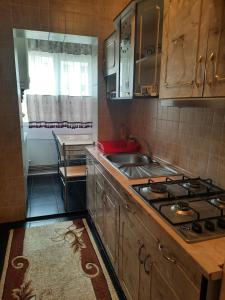 a kitchen with a stove and a sink and a window at Garsoniera MAIA Slănic-Moldova in Slănic-Moldova