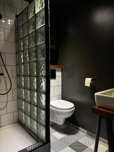 un bagno con un water e un lavandino di Little green studio in Maardu a Maardu