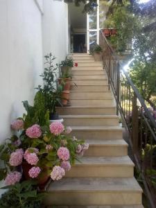 Vonkajšia záhrada v ubytovaní Apartment Lavander