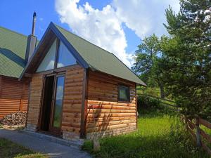 a log cabin with a window on the side of it at Aurora Tara 3 in Zaovine