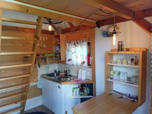 a kitchen with a counter and a sink in a room at Aurora Tara 3 in Zaovine