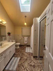 a bathroom with a sink and a toilet and a window at ReTreat yourself in Port Franks in Lambton Shores