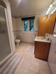 a bathroom with a sink and a toilet at ReTreat yourself in Port Franks in Lambton Shores +25 photos
