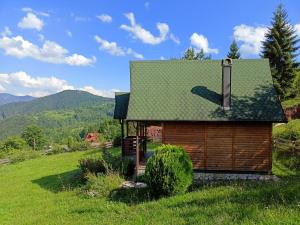 a small cabin with a green roof in a field at Aurora Tara 2 in Jezdići