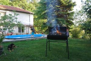 a grill in a yard with a child and a dog at Forest house in Varna City