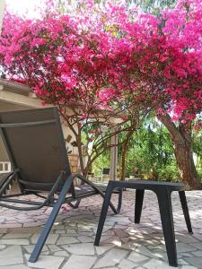 Serranovaにあるvilla Beatriceのギャラリーの写真