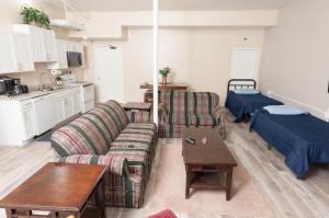 a living room with a couch and a table at 2 Bed, 1 Bath, Lower Level Loft in New Baltimore