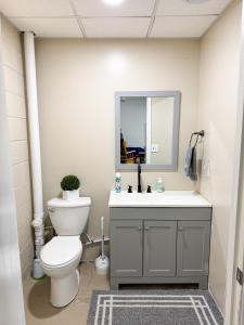 a bathroom with a toilet and a sink and a mirror at 2 Bed, 1 Bath, Lower Level Loft in New Baltimore