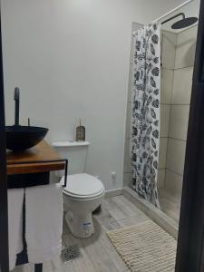 a bathroom with a toilet and a shower at Apartamento Julio Cesar I in Godoy Cruz +2 photos