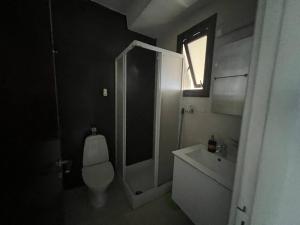 a bathroom with a shower and a toilet and a sink at Old town studio in Limassol