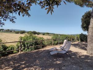 een witte stoel onder een boom naast een hek bij Agriturismo I Debbi in Bibbona
