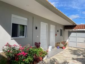 a house with potted plants and a window at Guest house Luli Strumi in Berat