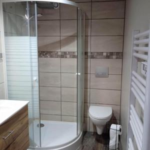 a bathroom with a toilet and a glass shower at Duplex Campagne in Tocane-Saint-Apre +16 photos