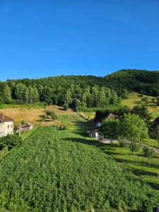 an aerial view of a large field of crops at Rooms & Spa BJELASICA in Bijelo Polje