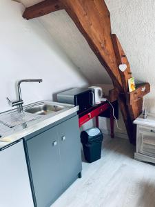 a kitchen with a sink and a table in a attic at Studio au bord de la forêt de Perseigne in Beauvoir +11 photos