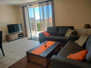 a living room with a couch and a coffee table at Wellness Park Apartman in Dunaszentmiklós