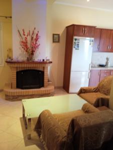 a living room with a couch and a fireplace at Katerina house in Akritokhórion