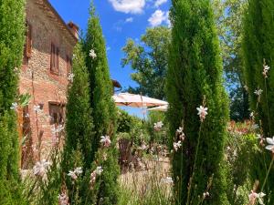 Zahrada ubytování Grove Cottage: Immersed in nature & close to town