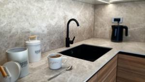 Η κουζίνα ή μικρή κουζίνα στο Banja Apartman