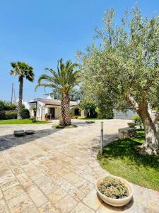 un patio con palmeras y una casa en Trulli Ada, en Noci