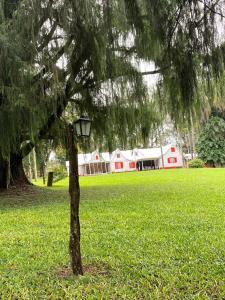 a street light next to a tree in a field at Estancia Las Mercedes in Eldorado