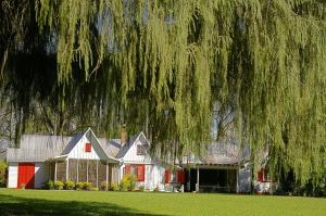 a large white house with red doors and a tree overhead at Estancia Las Mercedes in Eldorado +78 photos