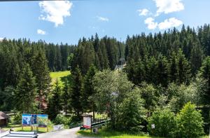 Příroda nedaleko apartmánu