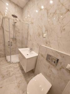ein Badezimmer mit Toilette, Dusche und Waschbecken in der Unterkunft Trakai Castle View Villa55 in Trakai