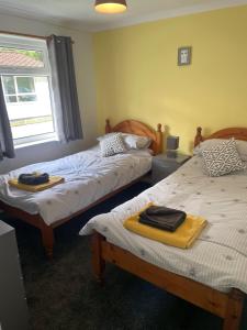 sypialnia z dwoma łóżkami i oknem w obiekcie Beekeepers Cottage w mieście Liskeard