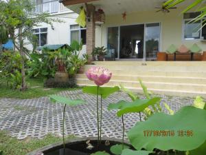 a pink flower in a pond in front of a house at Choengmon Residence in Choeng Mon Beach