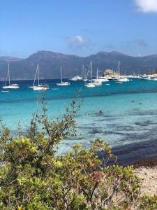 Billede fra billedgalleriet på Charmant appartement calme, avec terrasse fleurie i Calenzana + 13 billeder