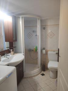 a bathroom with a shower and a toilet and a sink at Dimitris Guesthouse in Kapótidhes