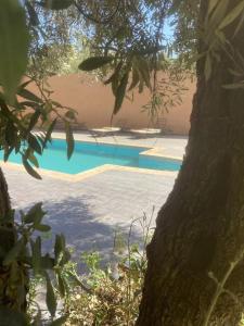 Billede fra billedgalleriet på Villa Les Oliviers i Ourika + 14 billeder