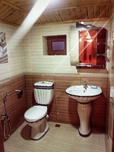 Un baño pequeño con inodoro y lavabo. en Villa Mardakan, en Baku