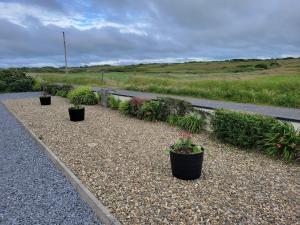 Um jardim no exterior de Coastal View Cottage