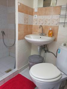 Koupelna v ubytování Privat Zimmer in Zwei-Zimmer-Wohnung als 2er WG + 17 fotografií