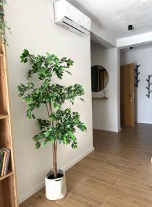 Fotografie z fotogalerie ubytování Apartmani Palada v Poljici