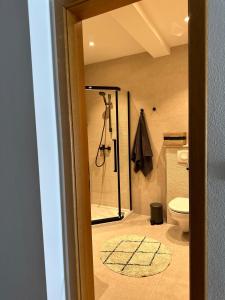 Koupelna v ubytování Apartmani Palada