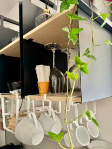a shelf with a bunch of pots and a plant at Residenza d'Artista al Duomo1 in Salerno