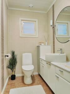 a bathroom with a toilet and a sink and a mirror at The Sunny Villa in Kokkola +20 photos