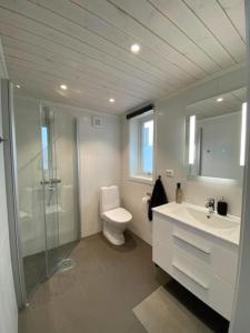 un bagno con wc, lavandino e doccia di Trivelig og nylig oppført hytte med innendørs peis a Vrådal