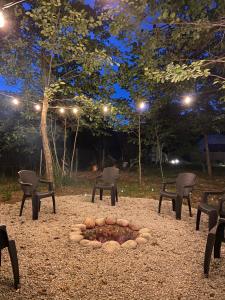 Gallery image of Evaland Glamping in Ardeşen