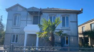 una casa blu con una palma di fronte di Megruli House a Poti