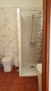 a bathroom with a shower with a toilet and a sink at Casa Fina in Vallehermoso