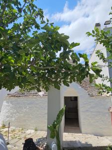 a white building with a door in the middle at River Trulli oasi di pace in sito UNESCO in Alberobello