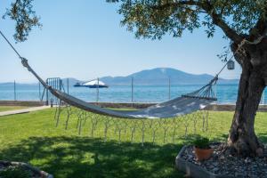 a hammock hanging from a tree next to the water at Luxury Beach Villa in Skála