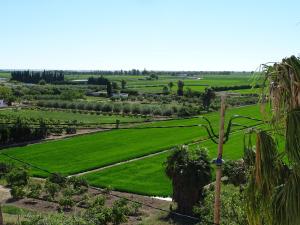a view of a green field with trees and a pole at Apartamento con vistas in Camarles +12 photos