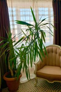 Φωτογραφία από το άλμπουμ του HOTEL THE WHITE HOUSE Plovdiv στη Φιλιππούπολη